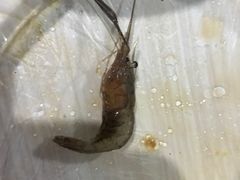 -桂萍特色牛筋牛杂(长堤街总店)