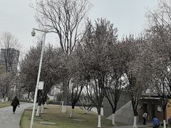 -首开·龙湖成都西宸天街