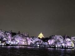 -金鸡湖景区