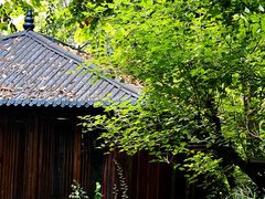 -大妙火锅·非物质文化遗产(东湖公园店)