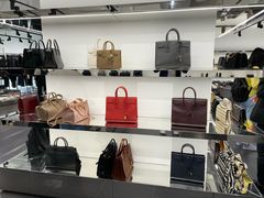 -Saint Laurent(海怡工贸店)