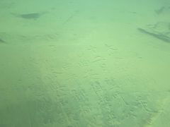 -白鹤梁水下博物馆