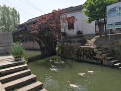 -丝绸小镇荻港古村