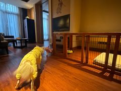 -上海崇明金茂凯悦酒店