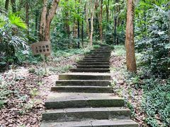 -赭山公园