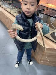 -Moni星球萌宠·小马宝莉·灵蛇·高端高阶全萌宠互动体验俱乐部(红豆国际广场店)