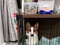 -奶牛家宠物酒店(嘉宏云顶店)