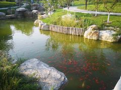 -西海子公园
