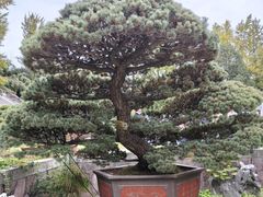 -水绘园