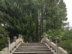 -上海醉白池公园