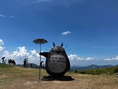 -仰天湖大草原