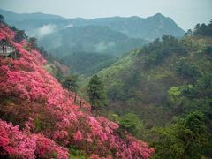 -木兰云雾山