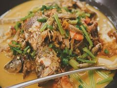 -饭怕鱼·黄焖鲟龙鱼(湖大店)