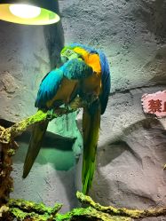 -Zoolung Zoolung动物主题公园(海信广场店)