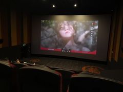 -上影国际影城(普陀绿地缤纷城店)