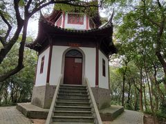 -上海佘山国家森林公园天马山园