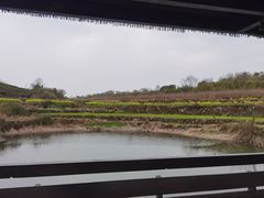 -许家山
