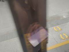 -留仙洞(地铁站)