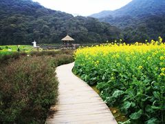 -广州市石门国家森林公园