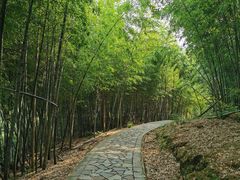 -北仑森林植物园