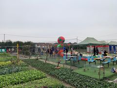 -小鱼草莓采摘园农家乐·小鱼餐厅