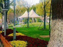 -七宝老街-闵行市民文化广场