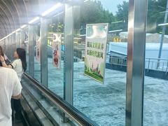 -兴龙广缘超市(奥体中心店)