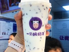 -一只酸奶牛(八一路店)