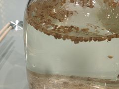 -村长家的疙瘩汤·东营菜(东营茶城店)