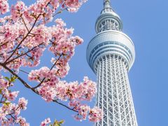 -成都濑川外国语学校