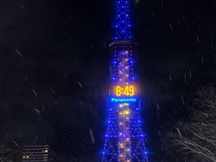 -大通公园