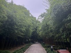 -上海方塔园