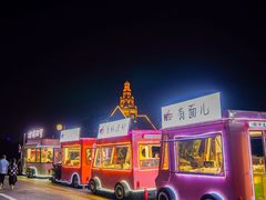 -荷兰花海