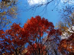 -叠溪松坪沟景区