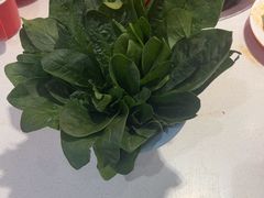 -老马路串串香火锅(北门桥店)