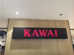 -柏斯琴行(汾阳店)