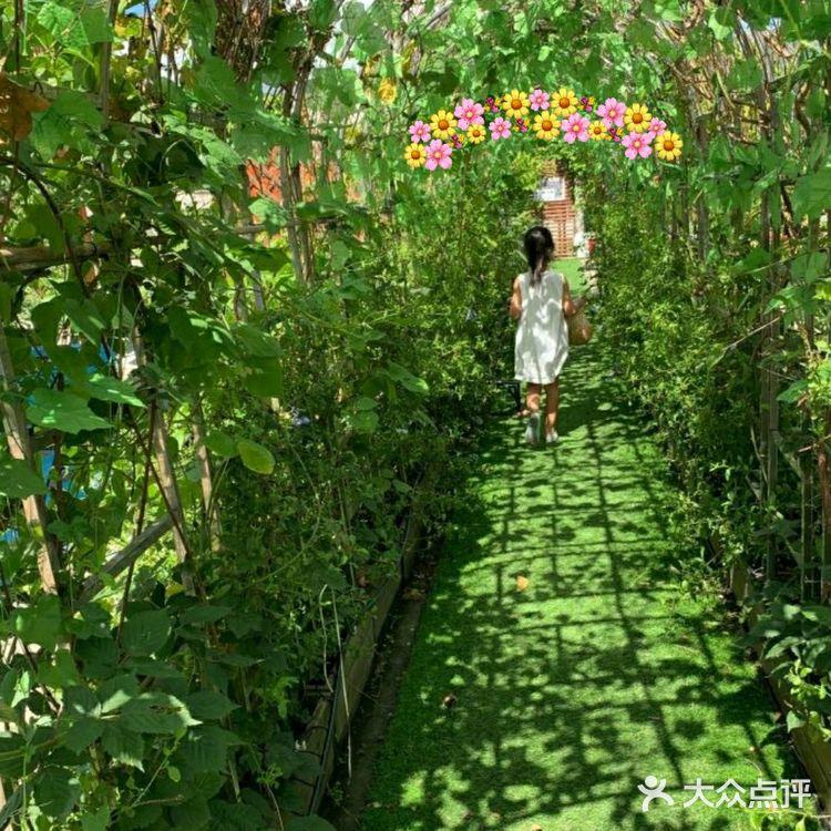 去深圳南山天空之城萌萌小动物超可爱