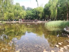 -玲珑塔公园