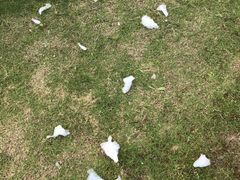 -莲花国际广场