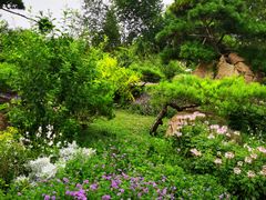 -罗红摄影艺术馆