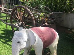 -Palate Angkor Restaurant & Bar