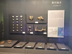 -北京周口店北京人遗址博物馆