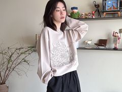 -岭南站NOVA