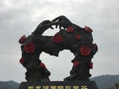-亚龙湾国际玫瑰谷
