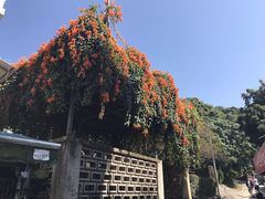 -南丫岛