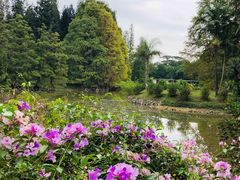 -华南国家植物园-售票处