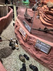 -Zoolung Zoolung动物主题公园(海信广场店)