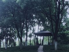 -后襄河公园