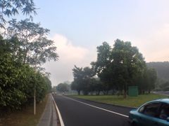 -东莞植物园