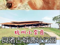-良渚古城遗址公园
